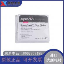 Epredia ***Ƭ ***黯ز ճزƬ4951plus-001E