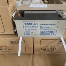 泸州理士蓄电池代理商DJM1224S免维护UPS电源电池12V24AH