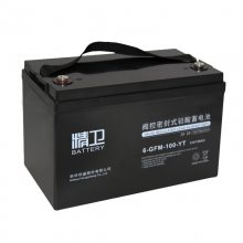 6-GFM-100-YT 12V100AHάǦUPS/EPSԴ
