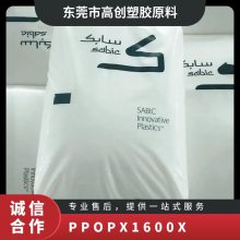 PPO A(ch)(chung)((gu)) PX1600X-701 (dng) ȼ 