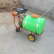 果树喷雾器 大容量打药机价格 启航高压喷雾器