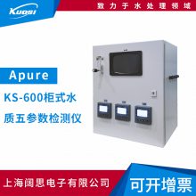 ApureնKS-600ʽˮӾض߼