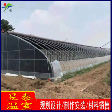 昱泰 日光温室暖棚 薄膜大棚 节能保温耐用 YTWSRG2043
