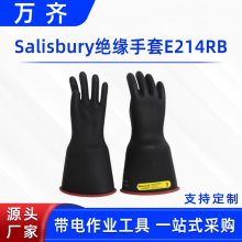 带电作业高压屏蔽手套Salisbury绝缘手套E214RB电工检修防护手套