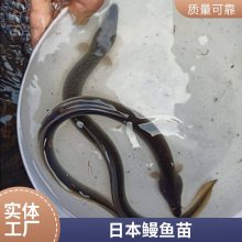 糡 ڰʵ ˮƷʺ ͻ