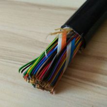 计算机电缆ZR-DJYJPVRP32-2*2*2.5交联聚乙烯电缆【维尔特牌】