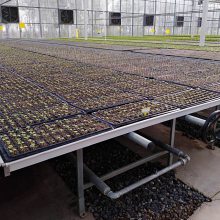 花卉蔬菜育苗床镀锌床网铝合金边框昱泰温室大棚材料YTWSMC1661