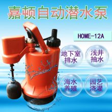 �Զ���ˮλ����Ǳˮ��HOME-12A���ݵ׿���ˮ��