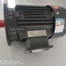 供应 YE3/YE4德东高效节能电机 YE3-80M-6 0.55KW B3 三相异步电机