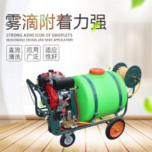 骏晟 汽油打药车 300L小区路面洒水车 汽油机动喷雾打药机厂家