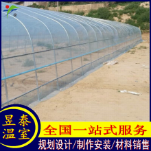 昱泰温室 简易拱棚春秋棚冷棚 蔬菜种植大棚 YTWSLP2016