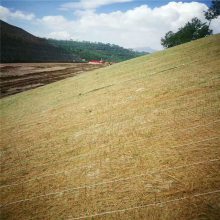 厂直供椰丝草毯 可降解河道绿化麻椰固土毯 加筋椰丝生态护坡椰丝毯