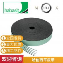 ˹Habasit PVC-20DGīɫ3.0ʹ