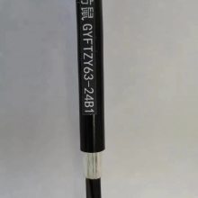    GYFTZY63-24B1.3 ͨŹ 24о 36о 48о 72о³ 