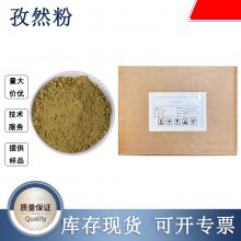 孜然粉 孜然提取物10:1 全水溶 孜然浸膏粉厂家现货