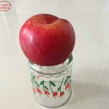 ƻ繩Ӧƻɳ