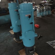DYTZ1000-300ֱʽҺƸED80/6Һѹƶ??