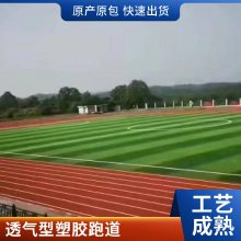 硅pu塑胶篮球场景观休闲人工草坪13mm厚混合型塑胶跑道