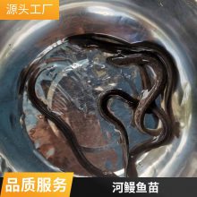 ۷ˮ 糤ڳ Ʒ*** ڶٶȿ