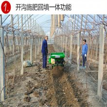 葡萄架下自走旋耕除草机 果园开沟施肥一体机润众