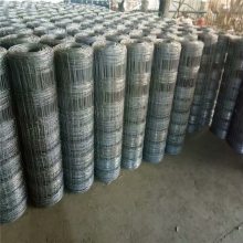 供应荆州拦羊铁丝网/热镀锌围羊铁丝网