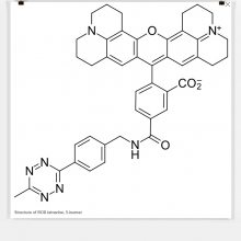 ROX tetrazine޵຾иȺ͸ӫ***