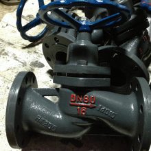  U41SM-16P DN25 304 ܷ Һ岻