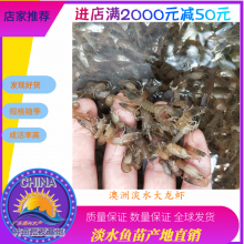 ˮ 2020Ϻ۸ 2021ƷϺǮ