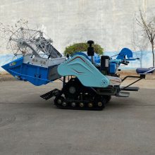 Ͳ25Сո Сˮո