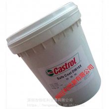 ʵDW33 Castrol SafeCoat DW 33 ܼͷ