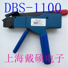  DMC DBS-1100M81306 / 2-01A.250