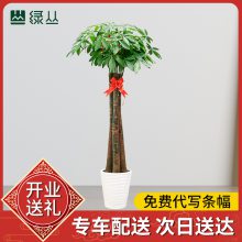 ҵ񷢲/˲߷/ҵǨֲ/̴԰