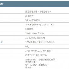 AT875RӰͲҹӦ