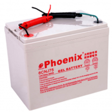 Phoenix6CNJ200 12V200AHܴ