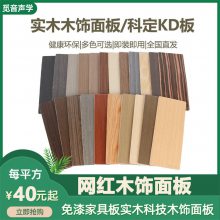 竹木纤维竹炭饰面护墙板高品质高品牌木饰面源头厂量大***