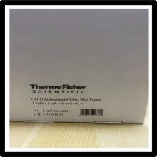 9973Ĭthermoԭװ߼ǳ