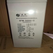 ԭʱ 2V500AHάǦ ʥ GFM-500