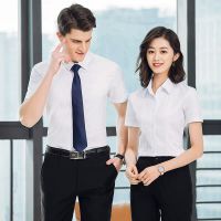 供应2019东莞新款***夏季***男女短袖衬衫细斜纹短袖正装气质办公室工作服