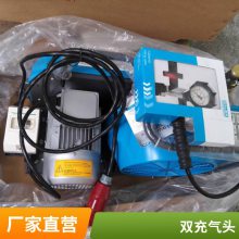 ˫ͷ 2300 r/minTRIPLEX P21 ЯʽǱˮ˶ѹ