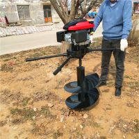 ***Ƽ˫˲򶴻 ЯʽСʹۻ԰ڿӻ