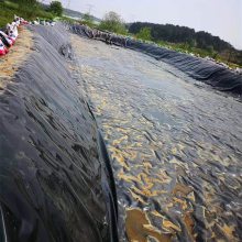 养殖场用软体黑膜沼气池 化粪池改造防渗膜 猪场防渗土工膜