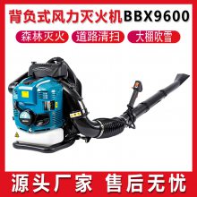 ʽ BBX9600ĳʹɭȼ˻