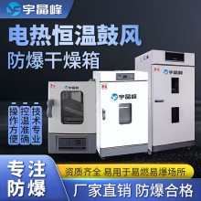防爆电热恒温鼓风干燥箱(D/L/T)款石油 化工厂用