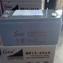 供应奥克松蓄电池12V120AH NP12-120 阀控密封式铅酸蓄电池 UPS EPS