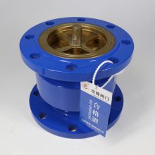上海雙 凱斯特閥門HC41X單向逆止閥消聲法蘭止回閥DN100