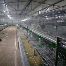自动兔笼价格 兔笼子母笼两层15只笼位价格 鸡笼兔笼密孔厂家图片