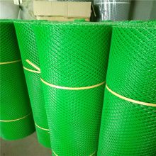 硬质塑料平网 一级原料塑料养殖网 养鸡防坠网
