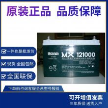 UNION友联蓄电池MX121000 长寿命12V100AH上白下绿外壳