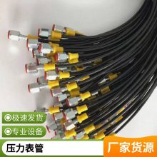 CNG输送树脂软管 尼龙耐油管 高压增强测压管 加气软管总成