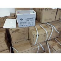 双登12v6***h铅酸免维护蓄电池双登6GFM-12-65